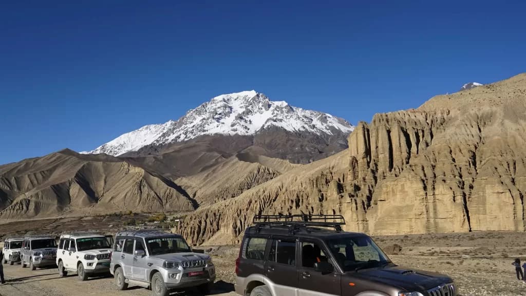 Mustang Tours 2
