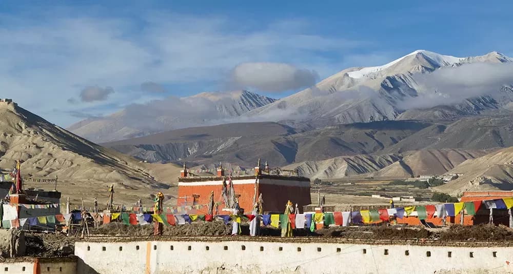 Mustang Tours 4